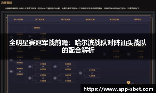 全明星赛冠军战前瞻：哈尔滨战队对阵汕头战队的配合解析