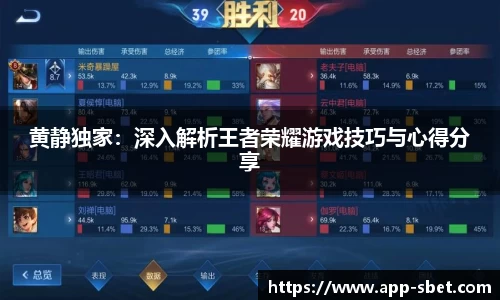 黄静独家：深入解析王者荣耀游戏技巧与心得分享